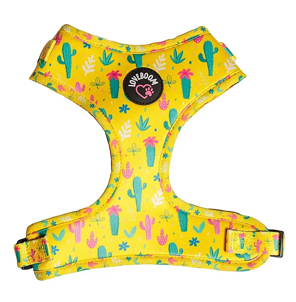 Σαμαράκι Cactus Small