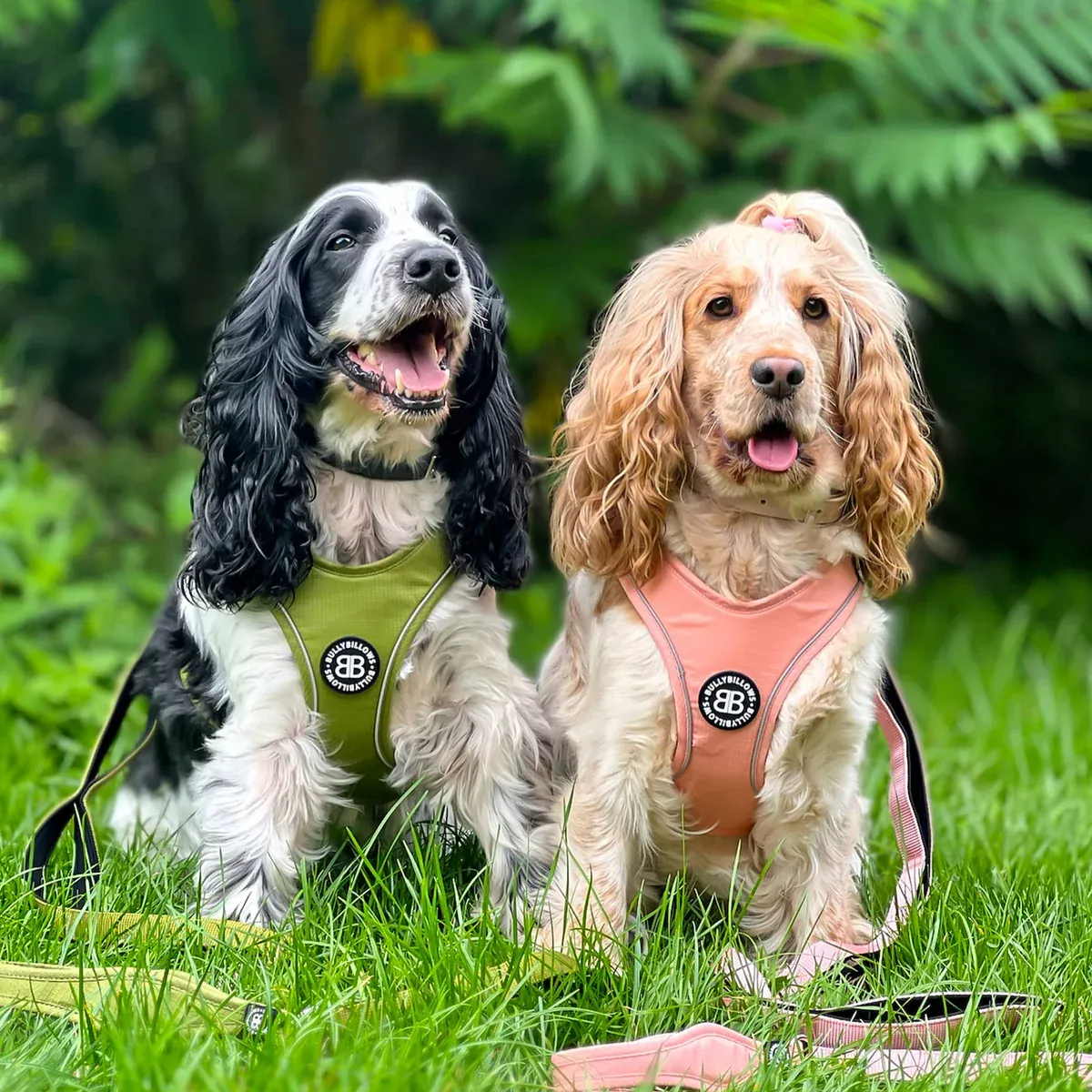 BullyBillows Step in Harness - Olive Green - XL 53-58cm