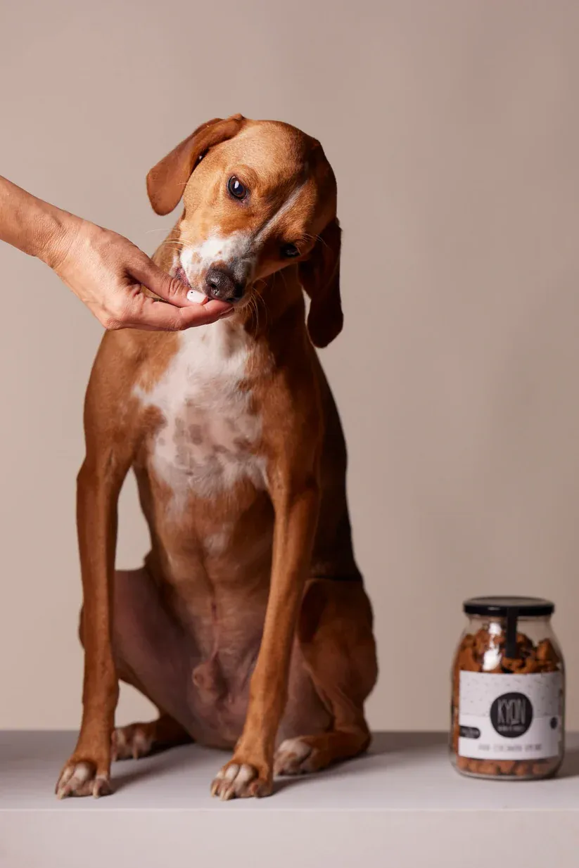Kyon Treats With Banana – Ceylon Cinnamon – Thyme honey Λιχουδιές Σκύλου Small 75gr